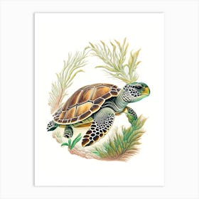 Nesting Sea Turtle, Sea Turtle Vintage 1 Art Print