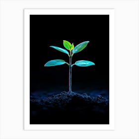 Young Green Plant 1 Art Print