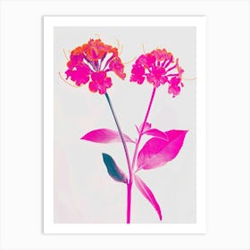 Hot Pink Lantana Art Print