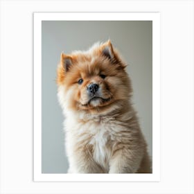 Chow Chow.Generated AI. Wall Art Print 1 Affiche