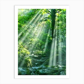 Rays Of Light In The Forest Art Print