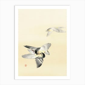 Two Fighting Birds (1900 1936), Ohara Koson Art Print