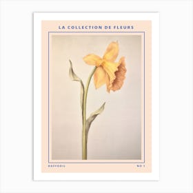 Daffodil French Flower Botanical Poster Art Print