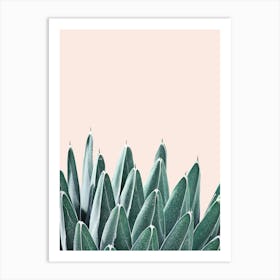 Botanical art 1 Art Print