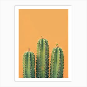 Cactus On Orange Background 3 Art Print