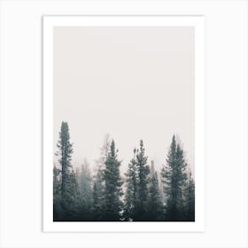 Foggy Pine Trees Art Print