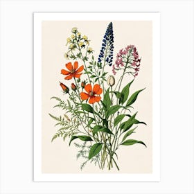 Wildflowers 6 Art Print