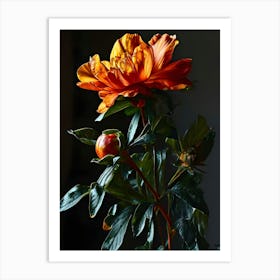 Orange Peony Art Print