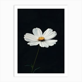 White Daisy Art Print