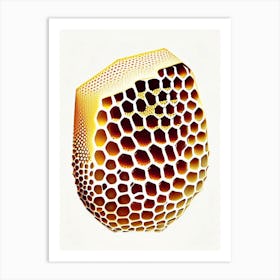 Close Up Of Honeycomb  2 Vintage Art Print