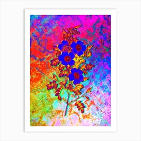 Thornless Burnet Rose Botanical in Acid Neon Pink Green and Blue n.0327 Art Print