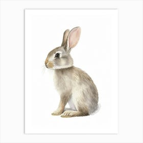 American Sable Rabbit Kids Illustration 2 Art Print