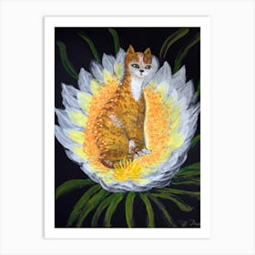 Cats Have Fun The Red Tabby Cat On A White Flower On A Black Background Art Print