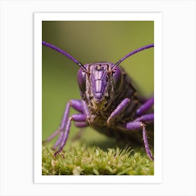 Purple Bug Art Print