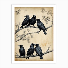 Crows On A Branch Art Print