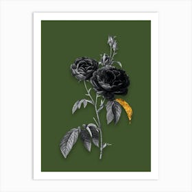 Vintage Purple Roses Black and White Gold Leaf Floral Art on Olive Green n.0045 Art Print