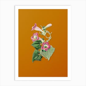 Vintage Blushing Lophospermum Flower Botanical on Sunset Orange n.0328 Art Print