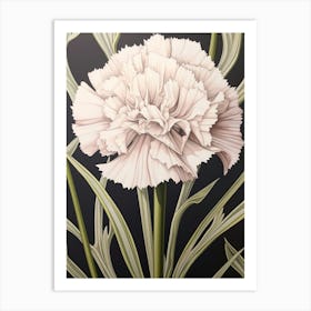 Flower Illustration Carnation Dianthus 2 Art Print