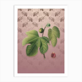 Vintage Briansole Figs Botanical on Dusty Pink Pattern n.0561 Art Print