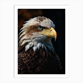 Bald Eagle Art Print Art Print