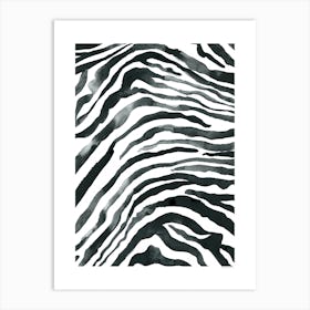 Zebra Black And White Art Print