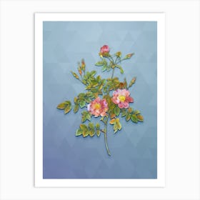 Vintage Pink Rosebush Bloom Botanical Art on Summer Song Blue n.0641 Art Print