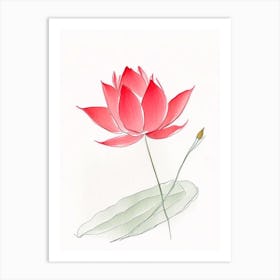 Red Lotus Pencil Illustration 3 Art Print