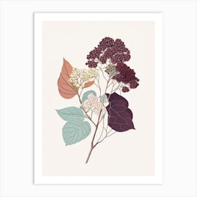 Hydrangea Root Spices And Herbs Minimal Line Drawing 2 Art Print