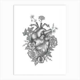 Anatomical Heart Black White Art Print