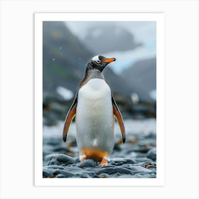 King Penguin Art Print