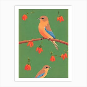 Eastern Bluebird 2 Midcentury Illustration Bird Art Print