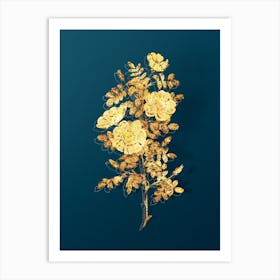 Vintage White Burnet Roses Botanical in Gold on Teal Blue n.0358 Art Print