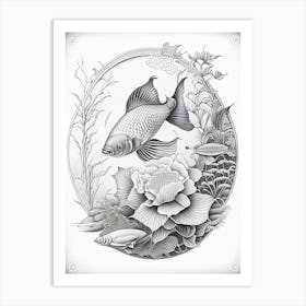 Shusui Koi 1, Fish Haeckel Style Illustastration Art Print