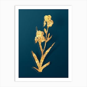Vintage Elder Scented Iris Botanical in Gold on Teal Blue Art Print