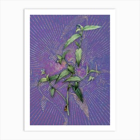 Vintage Tagblume Botanical Illustration on Veri Peri n.0033 Art Print