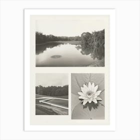 Lotus Flower Photo Collage 3 Art Print