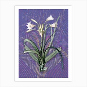 Vintage Malgas Lily Botanical Illustration on Veri Peri n.0861 Art Print