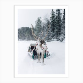 Snowy Reindeer Art Print