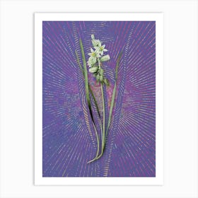 Vintage Drooping Star-of-Bethlehem Botanical Illustration on Veri Peri n.0809 Art Print