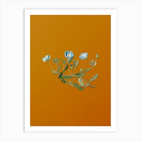 Vintage Shewy Nemophila Botanical on Sunset Orange n.0923 Art Print