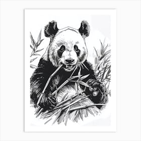 Giant Panda Eating Bamboo Ink Illustration 3 Art Print