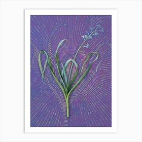 Vintage Dutch Hyacinth Botanical Illustration on Veri Peri Art Print