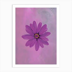 Purple Daisy Art Print