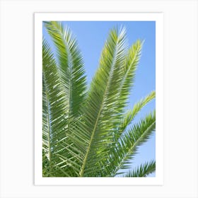 Summer in Portugal - green palmtree leaves with a clear blue sky - botanical nature and travel photography by Christa Stroo Art Print