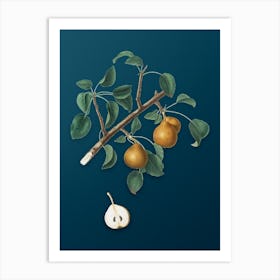 Vintage Seckel Pear Botanical Art on Teal Blue n.0044 Art Print