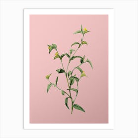 Vintage Commelina Africana Botanical on Soft Pink n.0902 Art Print