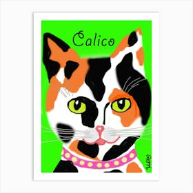 Calico Cat 3 Art Print