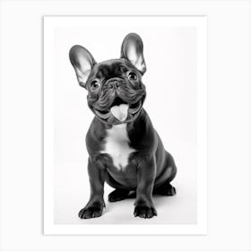 The Frenchie Art Print