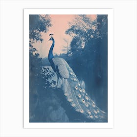 Cyanotype Peacock By The Water Art Print