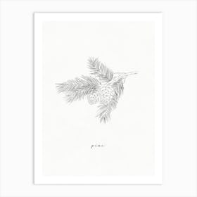 Pine Branch Line Drawing Art Print